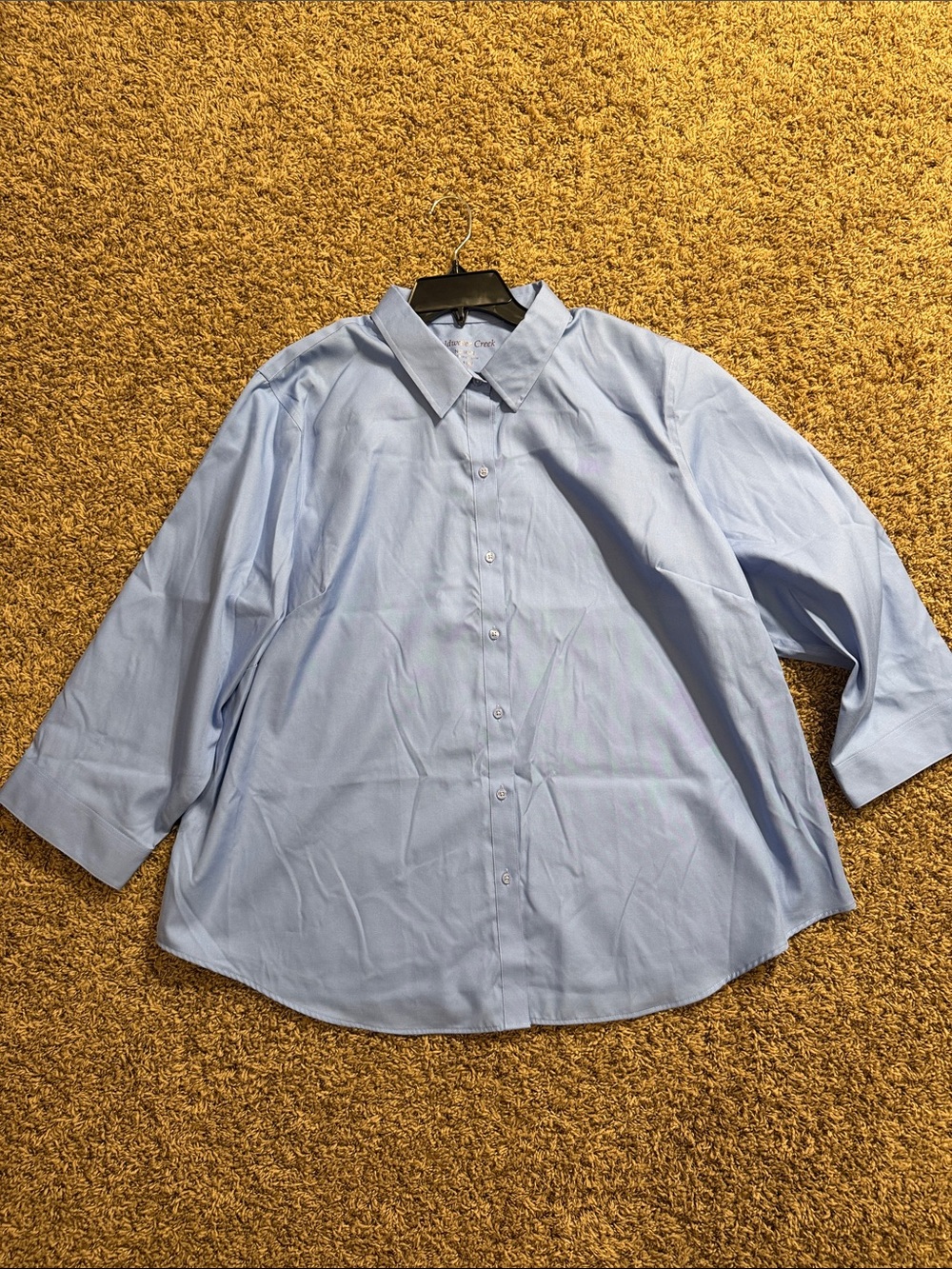 Coldwater Creek Pale Blue Women's Button Front Shirt